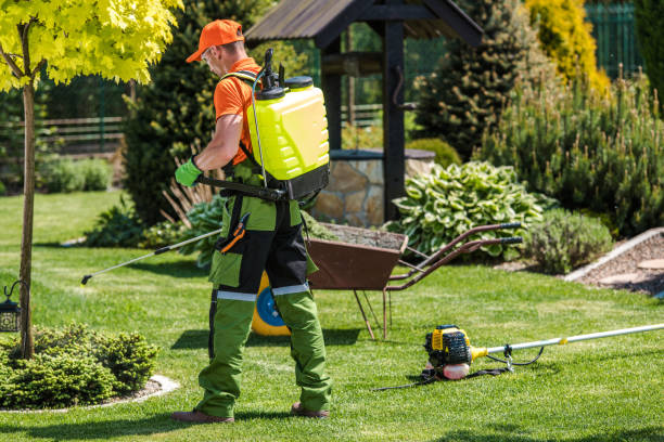 Professional Pest Control in Park Hills, MO